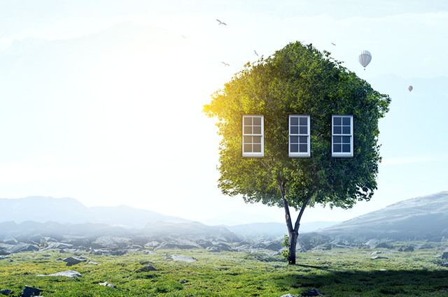 A tree shaped like a house, with three windows on its leafy green top, stands in a sunlit field. Mountains, birds, and hot air balloons are visible in the background under a bright sky.